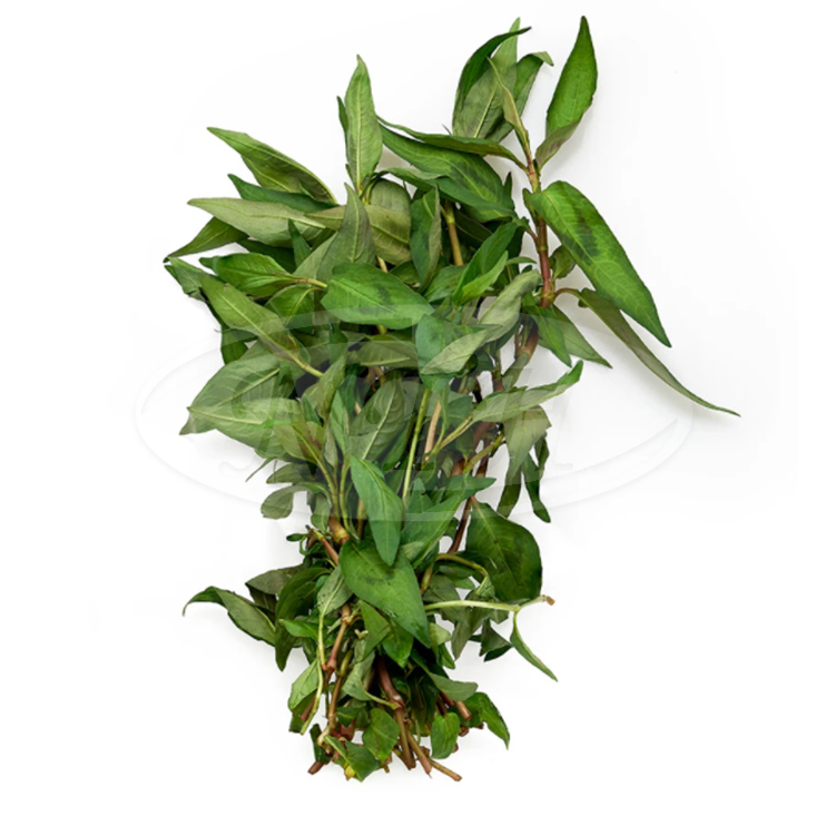 Laksa Leaves/ Daun Kesum